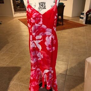 NWT City Chic Floral Dress Size XS/14